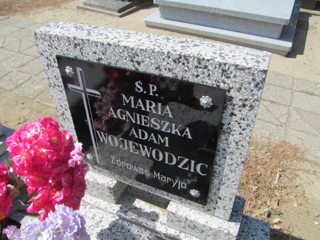 Adam Wojewodzic 1900 Zduny - Grobonet - Wyszukiwarka osób pochowanych